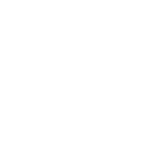 Euro Icon